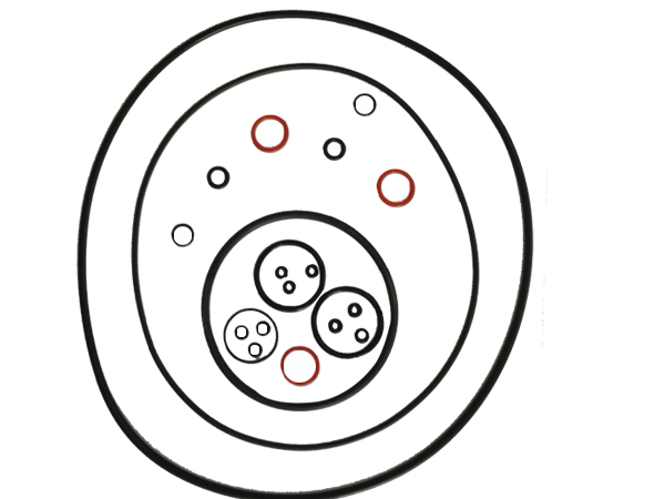 O型圈1